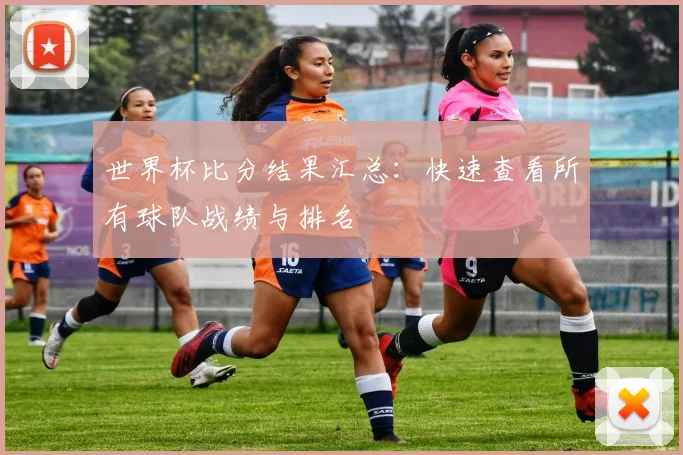 世界杯比分结果汇总：快速查看所有球队战绩与排名